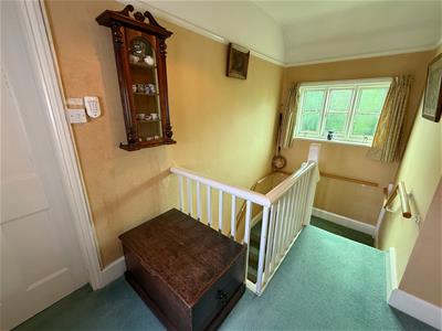 Picture 7